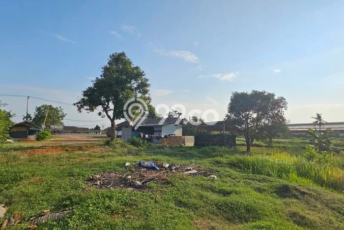 Untuk Dijual Tanah di Pamanukan Subang Luas 4197m2 AJB Untuk Dijual Tanah di Pamanukan Subang Luas 4197m2 AJB