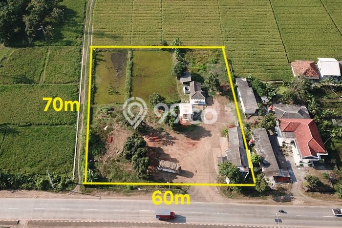 Kavling Tanah Dijual di Pamanukan Subang Spesifikasi 4197m2 Kavling Tanah Dijual di Pamanukan Subang Spesifikasi 4197m2