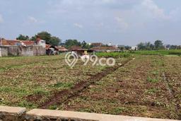 Lahan untuk Dijual Lokasi Cangkuang, Bandung Luas 3850m2 SHM Lahan untuk Dijual Lokasi Cangkuang, Bandung Luas 3850m2 SHM