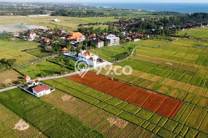 Tanah Kavling di Tabanan Dijual dengan Luas 3000m2 Tanah Kavling di Tabanan Dijual dengan Luas 3000m2