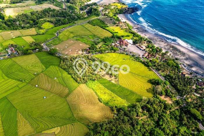 Tanah Dijual Lokasi Tabanan Tabanan SHM Tanah Dijual Lokasi Tabanan Tabanan SHM
