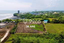 Tanah untuk Dijual Lokasi Tabanan, Tabanan Luas 3600m2 SHM Tanah untuk Dijual Lokasi Tabanan, Tabanan Luas 3600m2 SHM