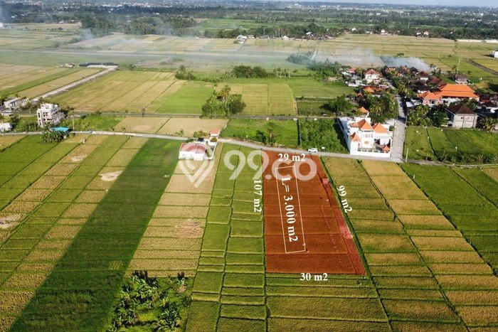 Tanah Kavling di Tabanan Dijual dengan Luas 3000m2 Tanah Kavling di Tabanan Dijual dengan Luas 3000m2