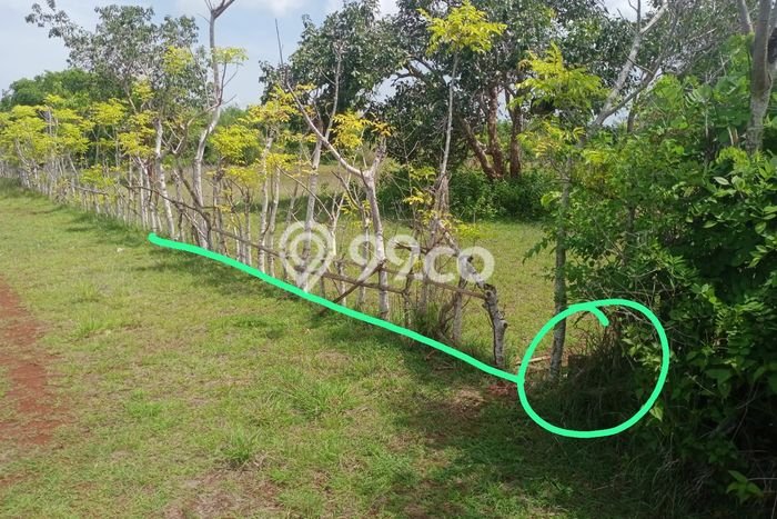 Dijual Tanah Lokasi Ungasan, Badung Seluas 327m2 Dijual Tanah Lokasi Ungasan, Badung Seluas 327m2