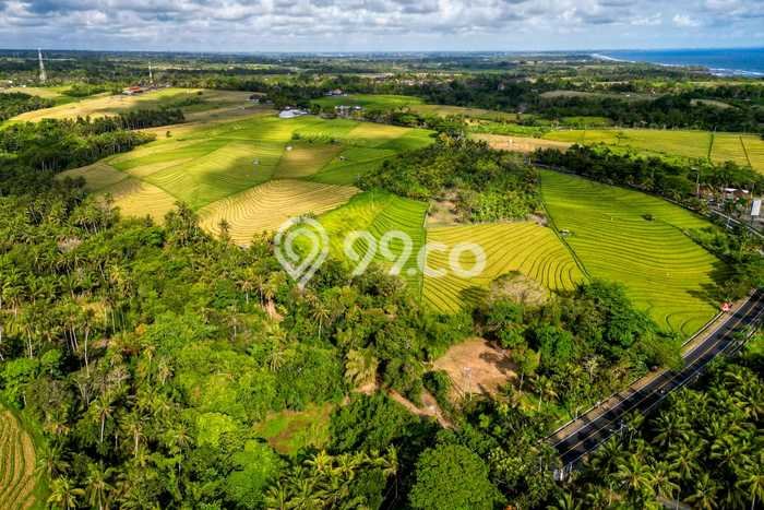 Tanah Dijual Lokasi Tabanan Tabanan SHM Tanah Dijual Lokasi Tabanan Tabanan SHM