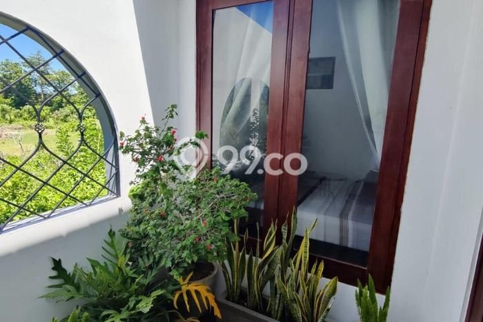 Rumah Luas Asri 2 KT Siap Huni di Jimbaran Badung Rumah Luas Asri 2 KT Siap Huni di Jimbaran Badung