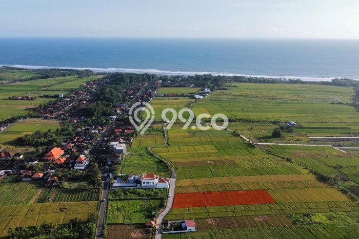 Tanah Kavling di Tabanan Dijual dengan Luas 3000m2 Tanah Kavling di Tabanan Dijual dengan Luas 3000m2