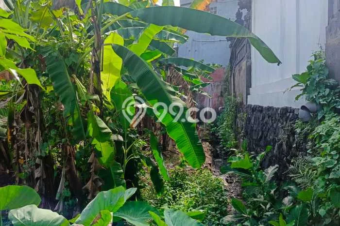 Tanah Disewakan di Kuta, Badung, Luas 300m2 SHM Tanah Disewakan di Kuta, Badung, Luas 300m2 SHM