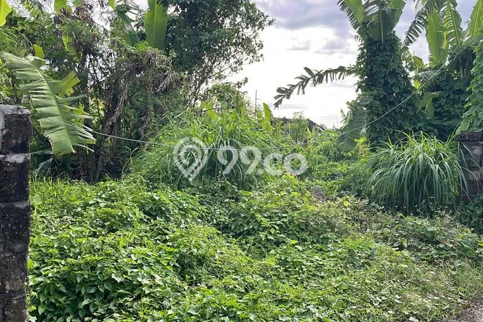 Kavling Tanah untuk Disewa di Sanur Lahan Luas 300m2 Kavling Tanah untuk Disewa di Sanur Lahan Luas 300m2