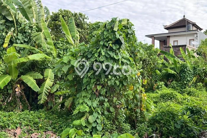Kavling Tanah untuk Disewa di Sanur Lahan Luas 300m2 Kavling Tanah untuk Disewa di Sanur Lahan Luas 300m2