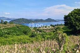 Tanah untuk Dijual di Sekotong Lombok Barat Luas 250000m2 Tanah untuk Dijual di Sekotong Lombok Barat Luas 250000m2