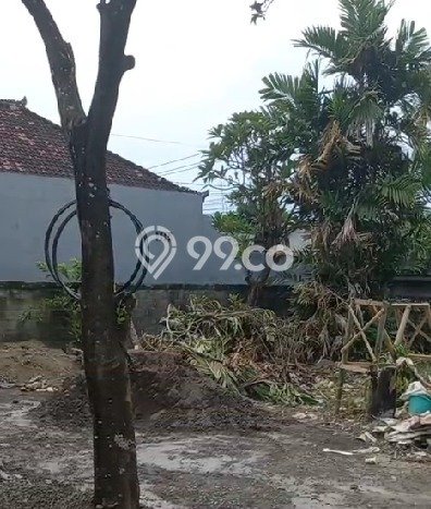 Tanah Kavling Dijual di Renon, Denpasar dengan Luas Tanah 612m2 Tanah Kavling Dijual di Renon, Denpasar dengan Luas Tanah 612m2