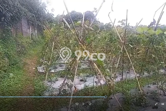 LOKASI STRATEGIS! Tanah Kawasan Bogor Barat, Luas 2525m2m², Area Nyaman, Cocok untuk Hunian LOKASI STRATEGIS! Tanah Kawasan Bogor Barat, Luas 2525m2m², Area Nyaman, Cocok untuk Hunian