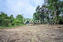 Kavling Tanah untuk Dijual di Sleman, Yogyakarta, Luas 3590m2 Kavling Tanah untuk Dijual di Sleman, Yogyakarta, Luas 3590m2