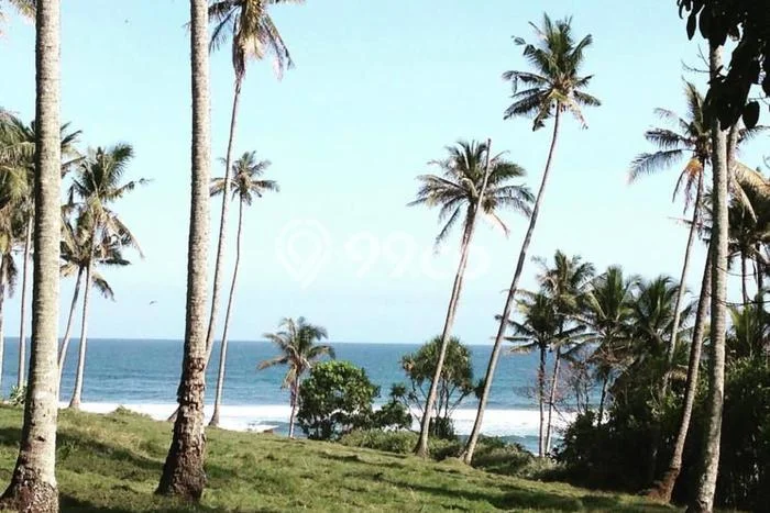 Tanah Dijual Area Strategis di Lalanglinggah Tabanan 7800m2 Tanah Dijual Area Strategis di Lalanglinggah Tabanan 7800m2