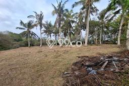 Untuk Dijual Tanah 6050m2 di Klecung, Tabanan Untuk Dijual Tanah 6050m2 di Klecung, Tabanan