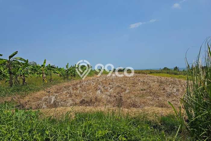Kavling Tanah untuk Dijual di Gubug, Tabanan, Luas 6915m2 Kavling Tanah untuk Dijual di Gubug, Tabanan, Luas 6915m2