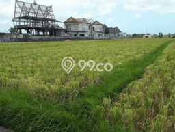 Dijual Tanah Lokasi Pererenan, Badung Seluas 4160m2 Dijual Tanah Lokasi Pererenan, Badung Seluas 4160m2