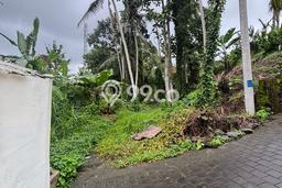 Kavling Tanah Dijual di Ubud Gianyar Spesifikasi 1034m2 Kavling Tanah Dijual di Ubud Gianyar Spesifikasi 1034m2