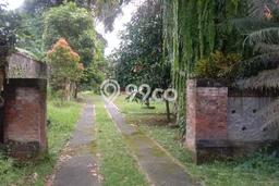 Tanah Kawasan , Luas 6800m2m², Akses Gianyar, Gianyar Tanah Kawasan , Luas 6800m2m², Akses Gianyar, Gianyar