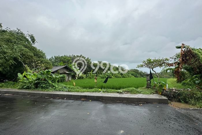 Rumah Luxury Best Location di Gianyar, Bali Rumah Luxury Best Location di Gianyar, Bali