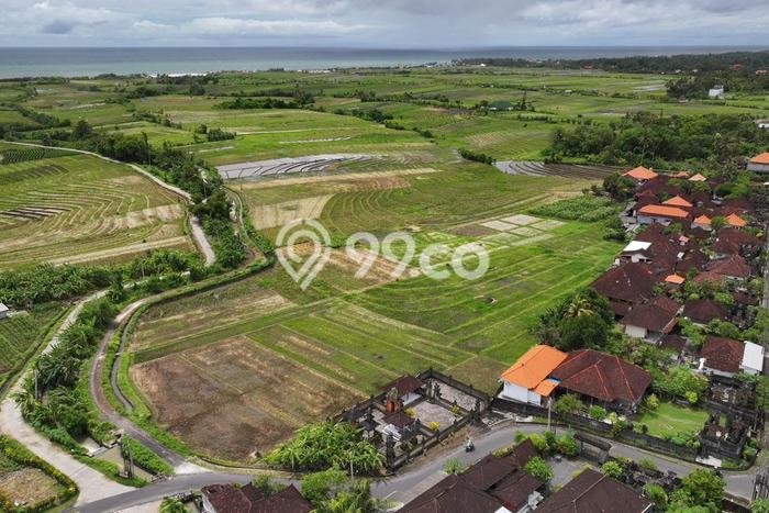 Tanah Kavling untuk Dijual di Kerambitan Tabanan 6100m2 Tanah Kavling untuk Dijual di Kerambitan Tabanan 6100m2