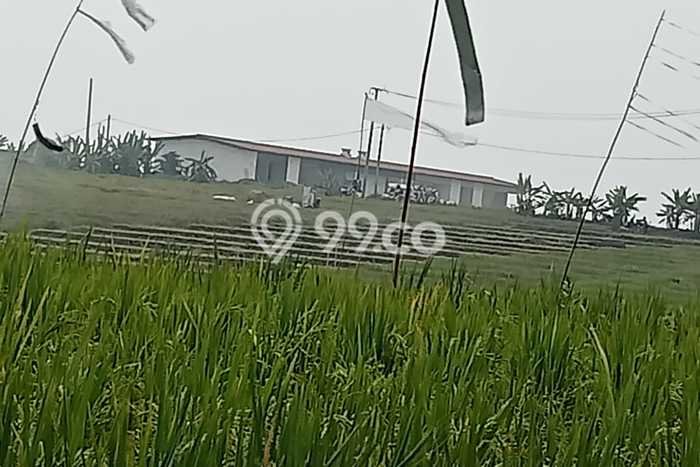 Tanah Kavling Dijual di Kelating, Tabanan dengan Luas Tanah 17000m2 Tanah Kavling Dijual di Kelating, Tabanan dengan Luas Tanah 17000m2
