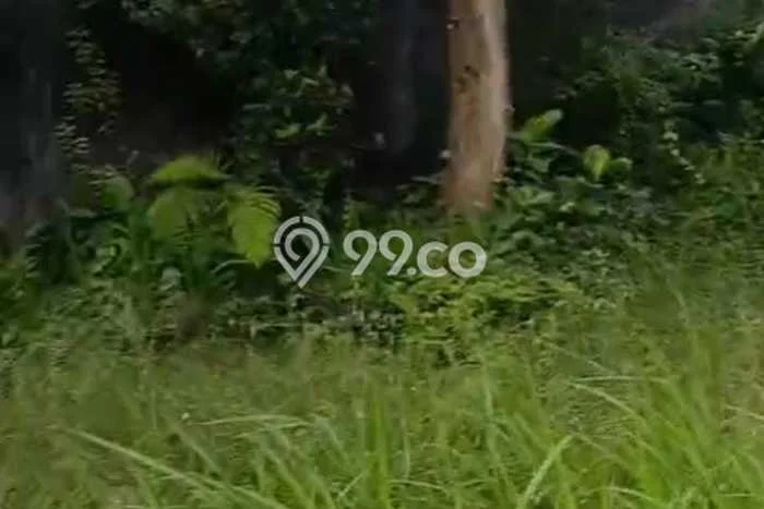 Dijual Tanah 6200m2 di Sayan, Gianyar Dijual Tanah 6200m2 di Sayan, Gianyar