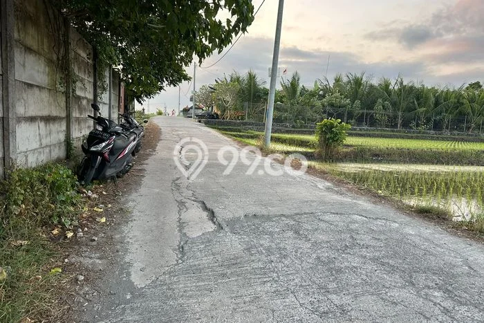 Tanah Kavling Dijual di Beraban, Tabanan dengan Luas Tanah 870m2 Tanah Kavling Dijual di Beraban, Tabanan dengan Luas Tanah 870m2