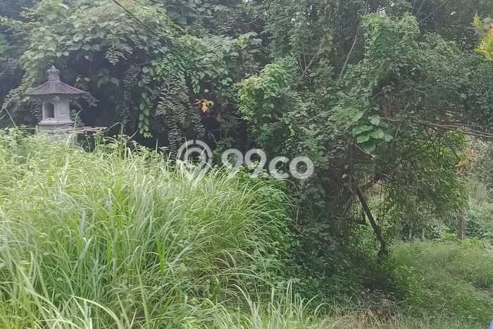 Lahan untuk Dijual di Sukawati Gianyar Luas 4200m2 Lahan untuk Dijual di Sukawati Gianyar Luas 4200m2