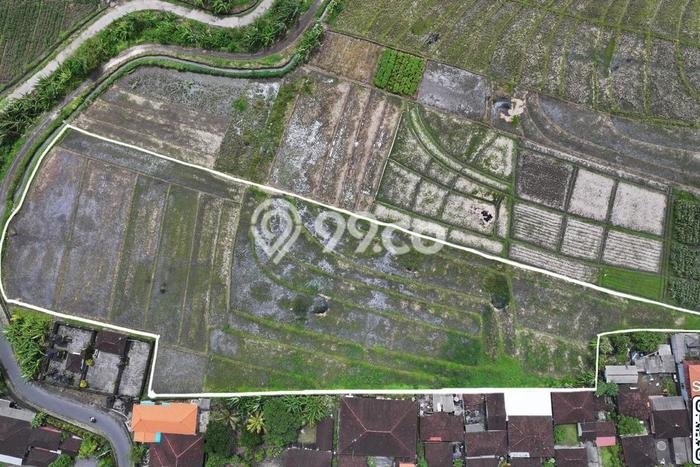 Tanah Kavling untuk Dijual di Kerambitan Tabanan 6100m2 Tanah Kavling untuk Dijual di Kerambitan Tabanan 6100m2