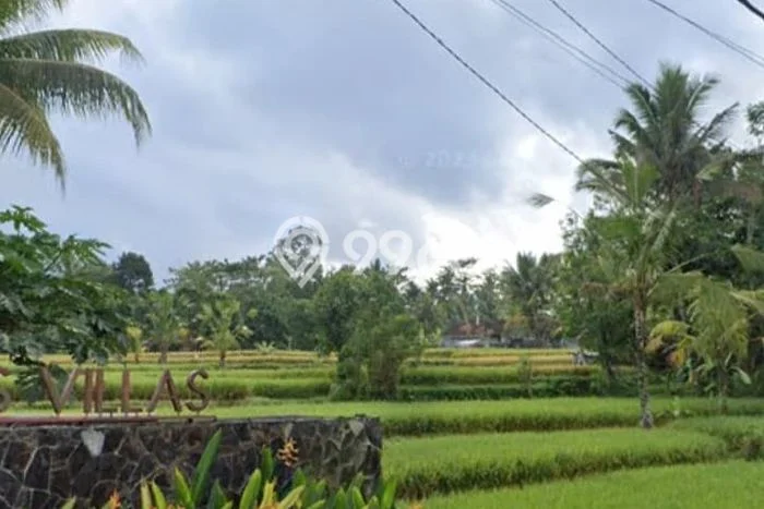 Tanah Kavling Dijual di Gianyar dengan Spesifikasi 2100m2 Tanah Kavling Dijual di Gianyar dengan Spesifikasi 2100m2