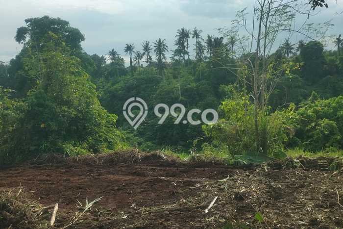 Tanah Investasi Dijual di Gianyar Punya Luas 59000m2 Tanah Investasi Dijual di Gianyar Punya Luas 59000m2