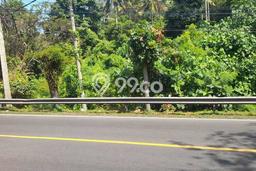 Tanah Kavling Dijual di Tabanan dengan Spesifikasi 4000m2 Tanah Kavling Dijual di Tabanan dengan Spesifikasi 4000m2
