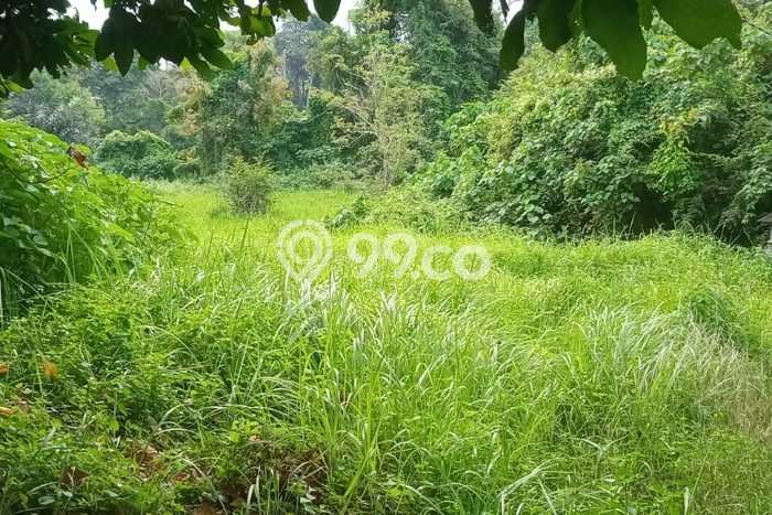 Lahan untuk Dijual di Sukawati Gianyar Luas 4200m2 Lahan untuk Dijual di Sukawati Gianyar Luas 4200m2