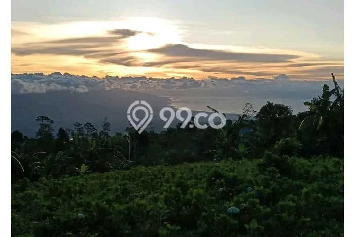 Untuk Dijual Tanah di Buleleng, Luas 5000m2 SHM Untuk Dijual Tanah di Buleleng, Luas 5000m2 SHM