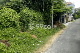 Tanah Siap Bangun Dijual di Denpasar Punya Luas 500m2 Tanah Siap Bangun Dijual di Denpasar Punya Luas 500m2