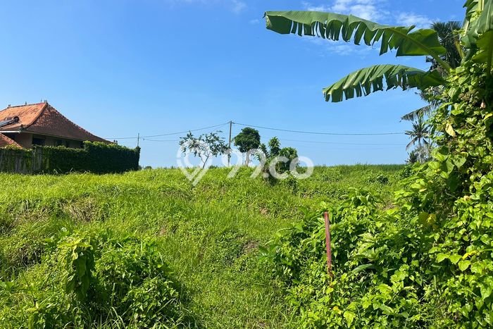 Kavling Tanah untuk Dijual di Beraban, Tabanan, Luas 2200m2 Kavling Tanah untuk Dijual di Beraban, Tabanan, Luas 2200m2