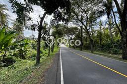 Tanah Dijual di Tabanan Seluas 27850m2 Strategis Tanah Dijual di Tabanan Seluas 27850m2 Strategis