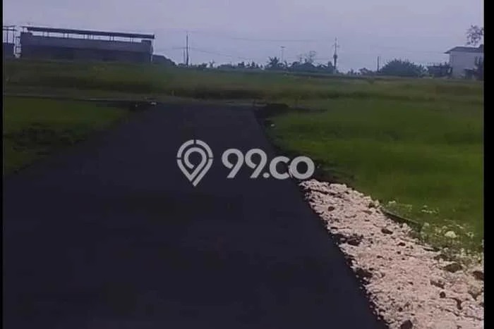 Lahan Dijual Lokasi Strategis di Tabanan dengan Luas 5000m2 Lahan Dijual Lokasi Strategis di Tabanan dengan Luas 5000m2