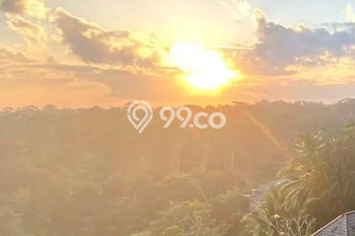 Dijual Tanah Lokasi Kedewatan, Gianyar Seluas 8000m2 Dijual Tanah Lokasi Kedewatan, Gianyar Seluas 8000m2