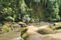 Tanah Kavling Dijual di Kemenuh, Gianyar dengan Luas Tanah 5400m2 Tanah Kavling Dijual di Kemenuh, Gianyar dengan Luas Tanah 5400m2
