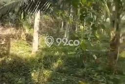 Tanah Dijual di Gianyar Seluas 3000m2 Strategis Tanah Dijual di Gianyar Seluas 3000m2 Strategis