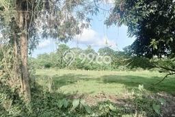 Tanah Kavling Dijual di Tabanan dengan Spesifikasi 2180m2 Tanah Kavling Dijual di Tabanan dengan Spesifikasi 2180m2