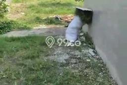 Dijual Tanah 1100m2 di Pererenan, Badung Dijual Tanah 1100m2 di Pererenan, Badung