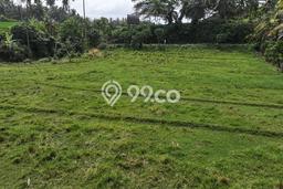 Lahan Dijual Lokasi Strategis di Tabanan dengan Luas 7680m2 Lahan Dijual Lokasi Strategis di Tabanan dengan Luas 7680m2