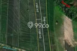 Tanah Kavling Dijual di Kelating, Tabanan dengan Luas Tanah 4500m2 Tanah Kavling Dijual di Kelating, Tabanan dengan Luas Tanah 4500m2