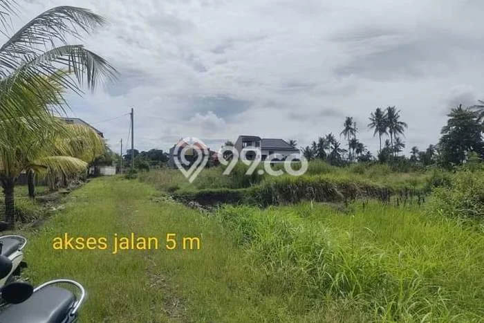 Dijual Tanah Lokasi Batuan, Gianyar Seluas 7880m2 Dijual Tanah Lokasi Batuan, Gianyar Seluas 7880m2