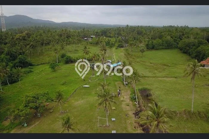 Kavling Tanah untuk Dijual di Lalanglinggah, Tabanan, Luas 16350m2 Kavling Tanah untuk Dijual di Lalanglinggah, Tabanan, Luas 16350m2