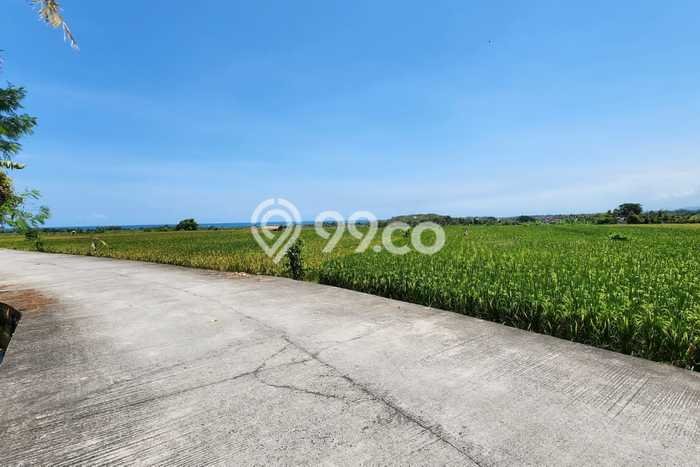 Tanah Investasi Dijual di Tabanan Punya Luas 3000m2 Tanah Investasi Dijual di Tabanan Punya Luas 3000m2